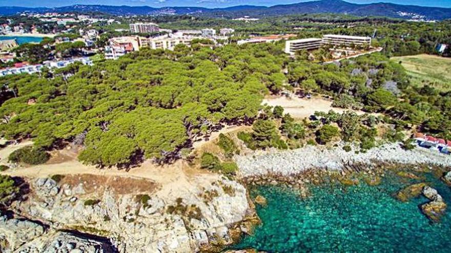 Vista aèria de la pineda d&#039;en Gori de Palamós.