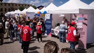 La Laguna saca a la calle su labor social en una jornada dedicada al voluntariado