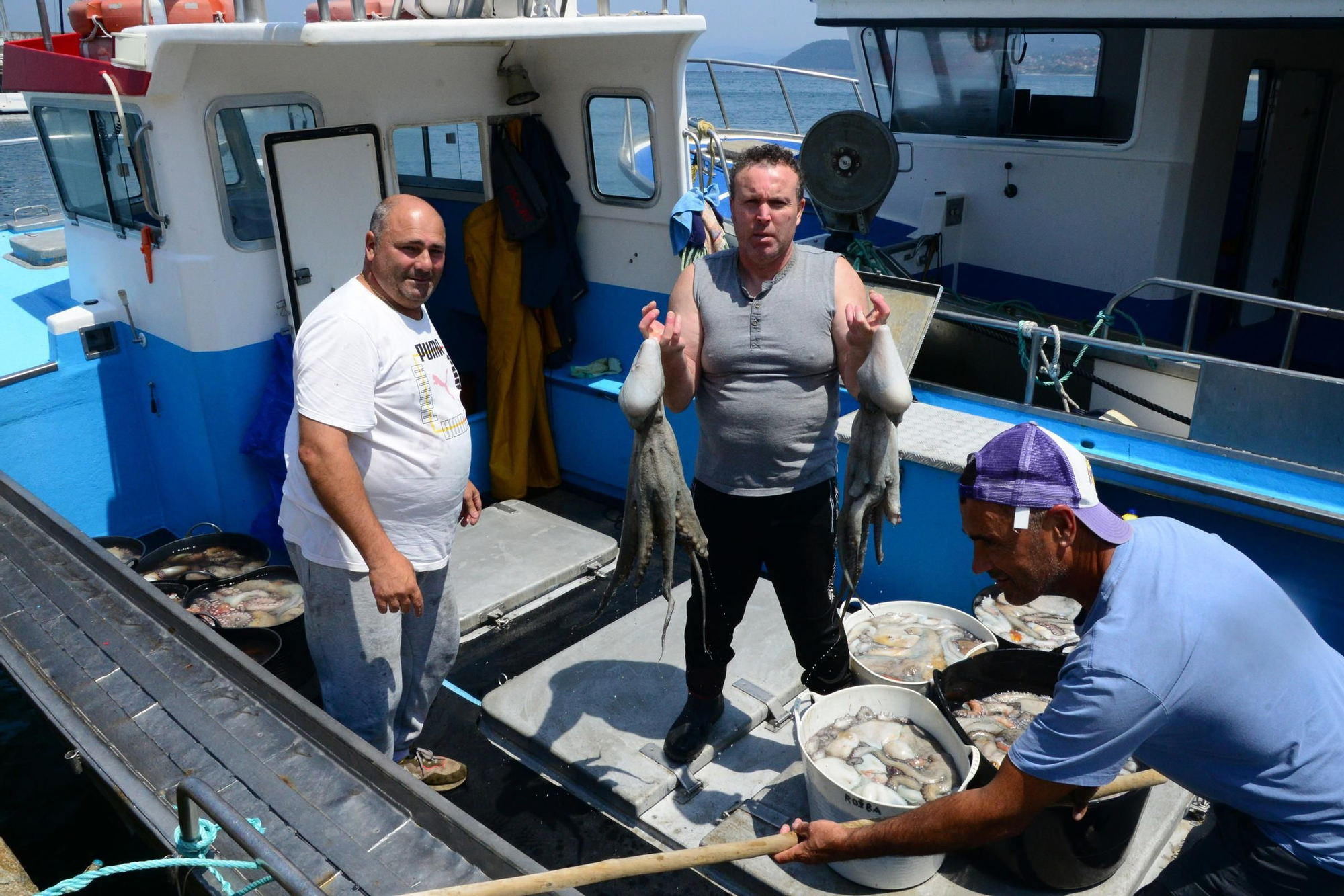 El inicio de la campaña del pulpo en el puerto de Bueu
