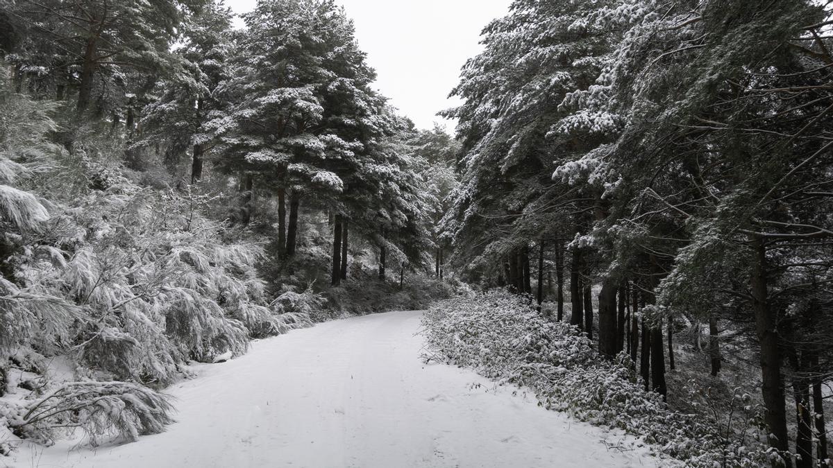 La Nochebuena es blanca en Hervás: la nieve pinta sus paisajes
