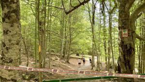 Cinta de los Mossos d’Esquadra que prohíbe el paso a excursionistas en Collserola por la peste porcina