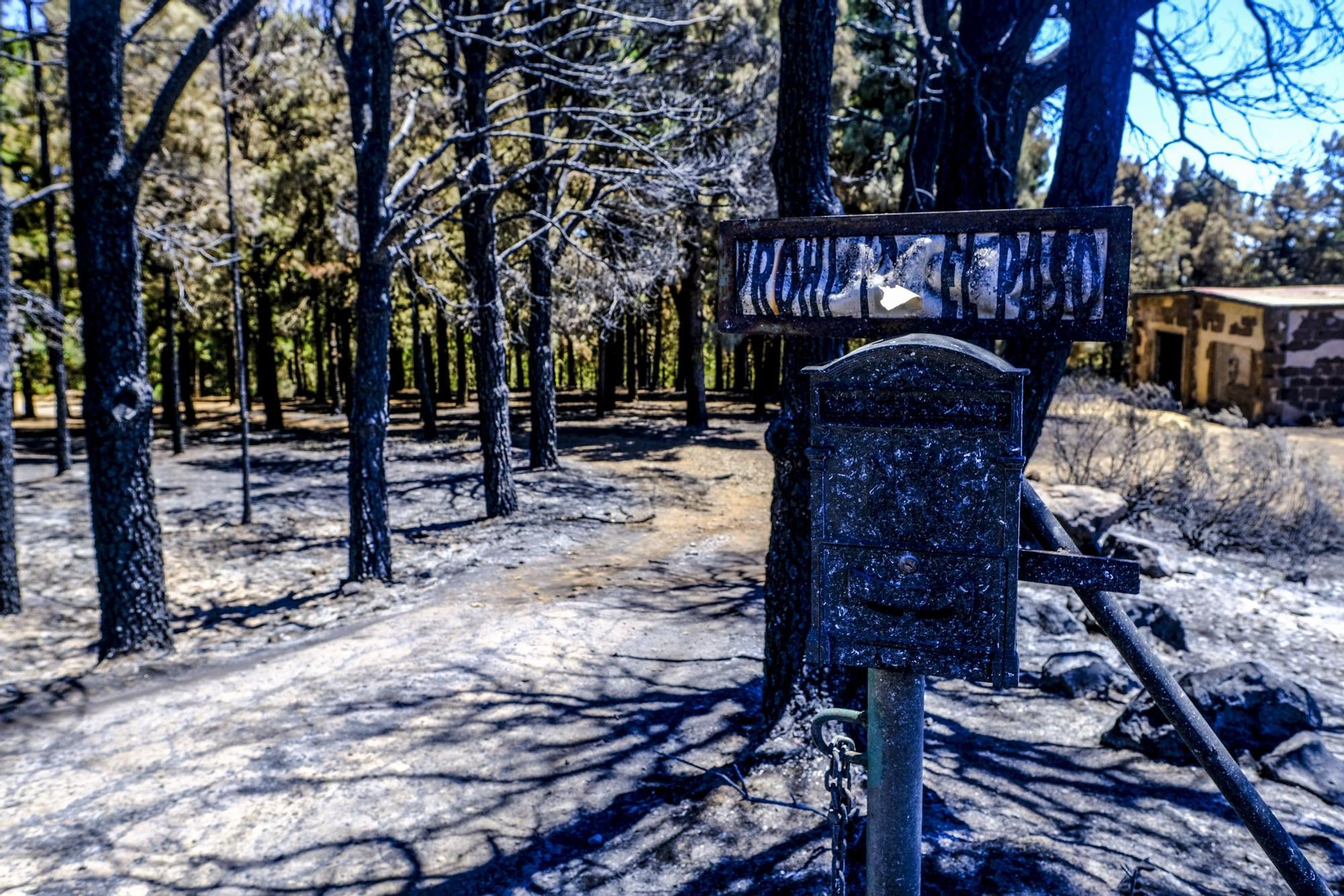 Incendio en la Cumbre de Gran Canaria: después del fuego viene la calma