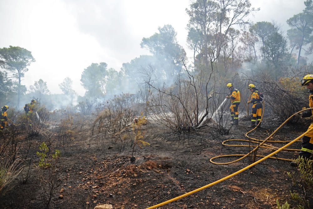 Controlado otro incendio forestal en un pinar en Marratxinet