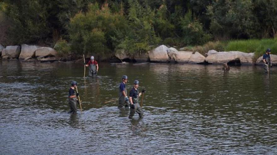 Hallado el cuerpo del bebé en un cañaveral del río Besòs