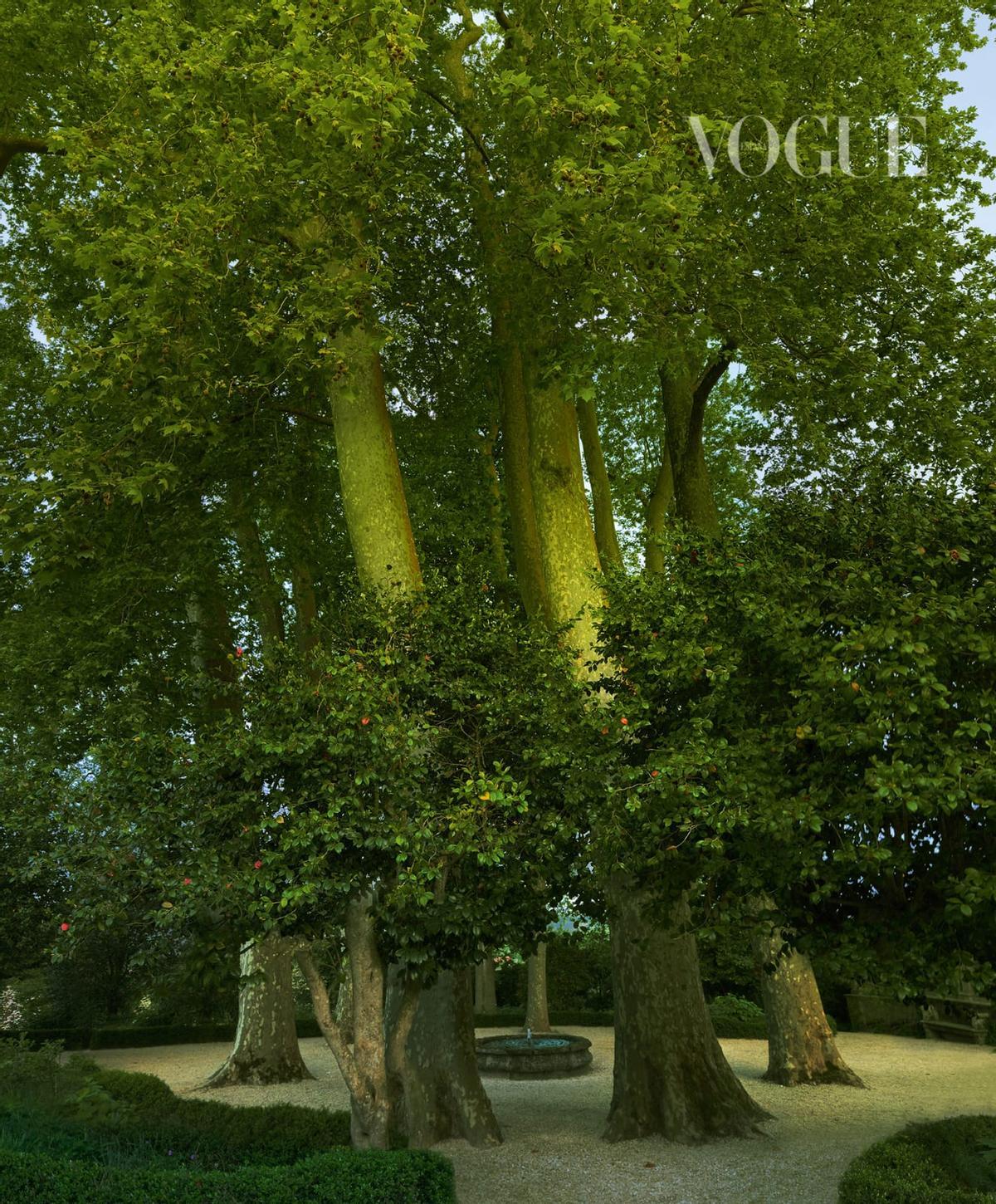 Los jardines de la casa de Ortega Pérez, diseñados por el aclamado arquitecto paisajista y diseñador de jardines inglés Tom Stuart Smith.