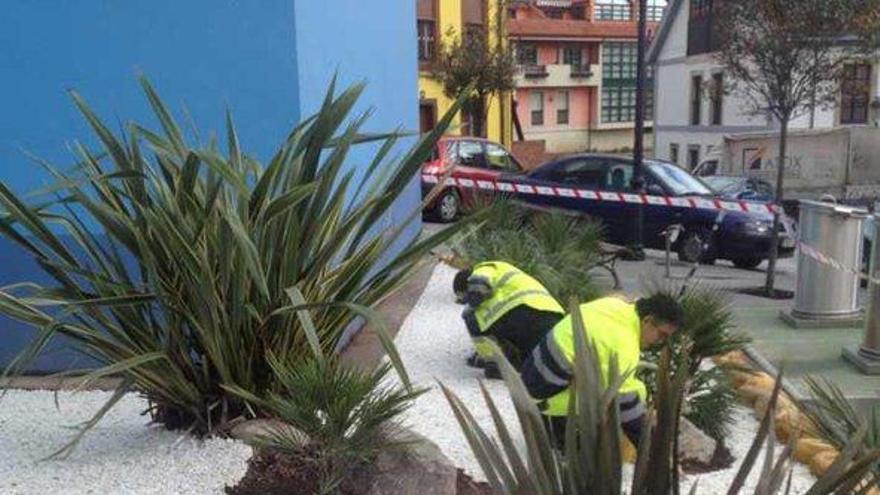 Nuevos jardines para el casco urbano de Candás