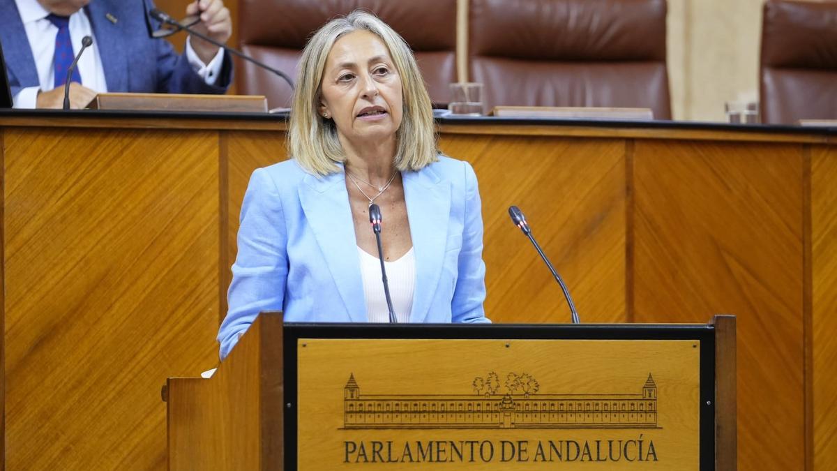 La consejera de Salud y Consumo, Rocío Hernández, comparece en el Pleno del Parlamento andaluz