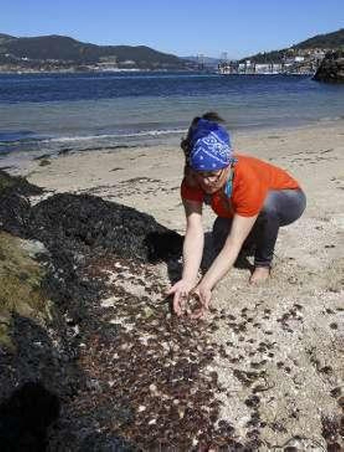 El calor empiedra la playa con "patexos"