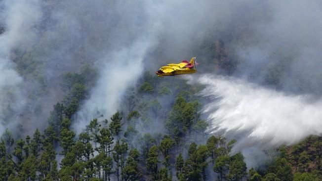 EL INCENDIO DE LA PALMA SIGUE QUEMANDO MAZO PERO ...