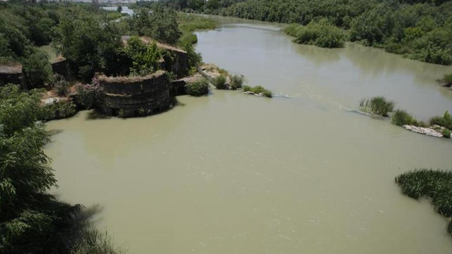 Junta, Ayuntamiento y ecologistas exigen más medidas para evitar nuevos vertidos