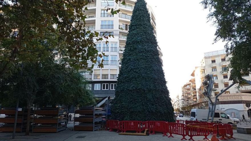 Instalación del árbol de Navidad en Vara de Rey