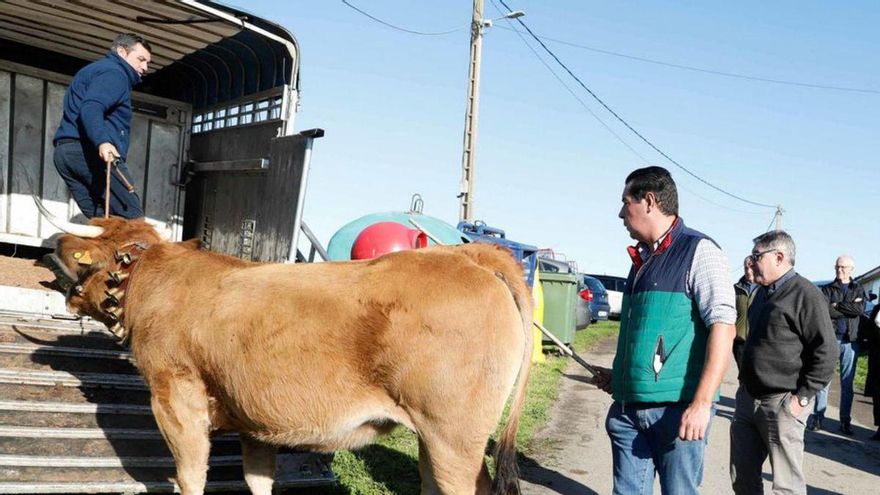&quot;Chata&quot; triunfa en la subasta de la xata de Ferrero