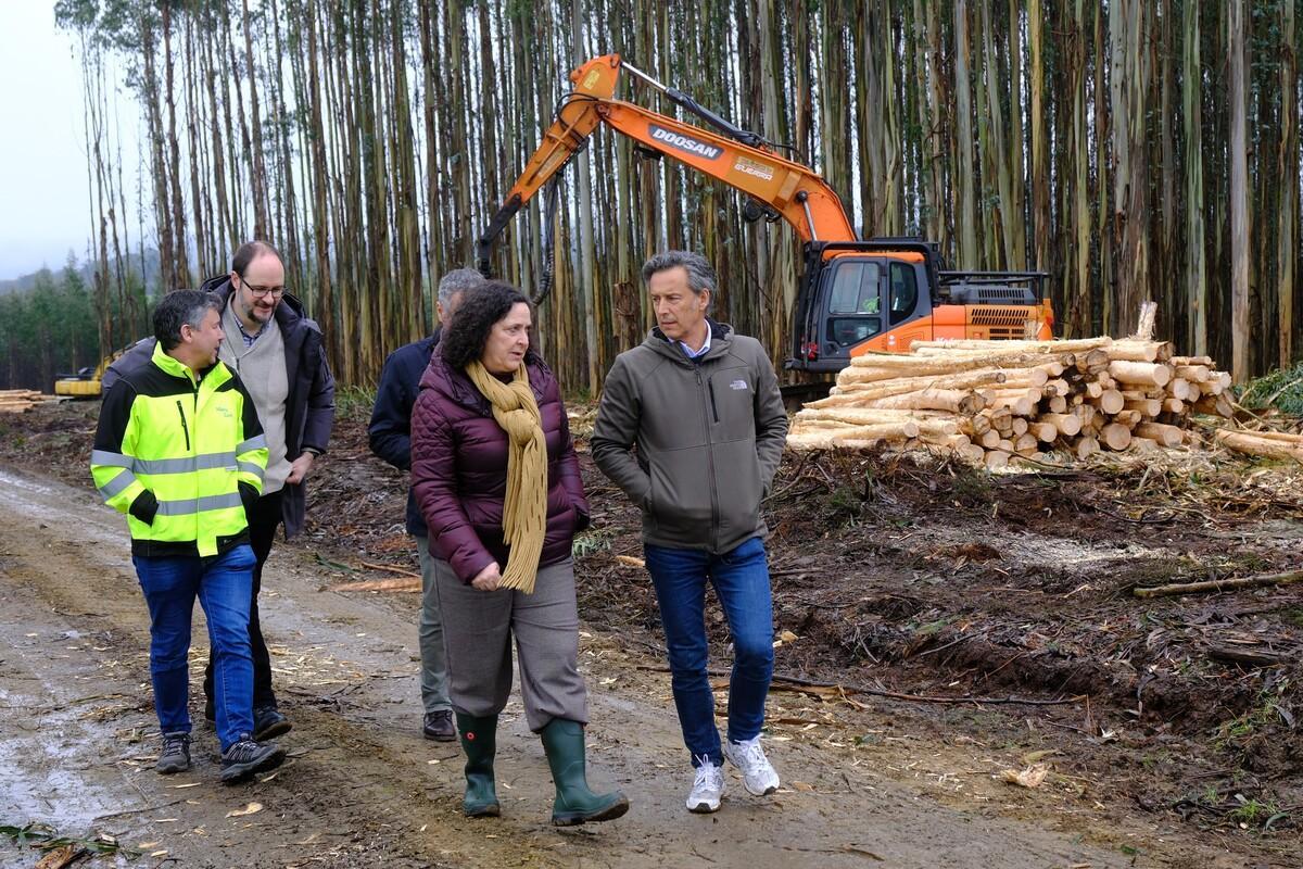 Belén do Campo, segunda por la derecha, visitando la empresa arzuana Maderas Carril