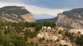 La ruta de senderismo en la que podrás ver buitres leonados en Alicante: ideal para los amantes de la naturaleza