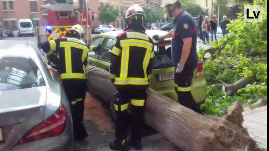 El viento derriba un árbol y daña varios coches en València