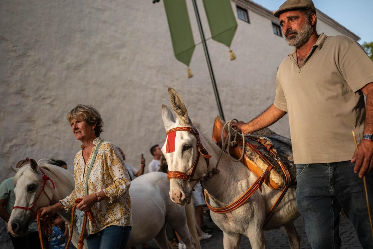 Noche de los Burros en La Laguna