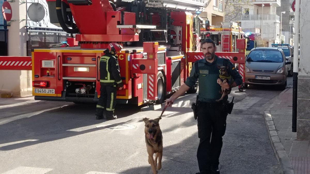 Un agente de la Guardia Civil sale del inmueble del incendio con dos perros, mientras los bomberos trabajan.