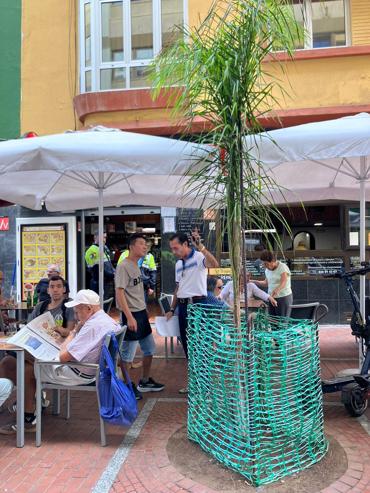 Inspección de terrazas en el paseo de Las Canteras.