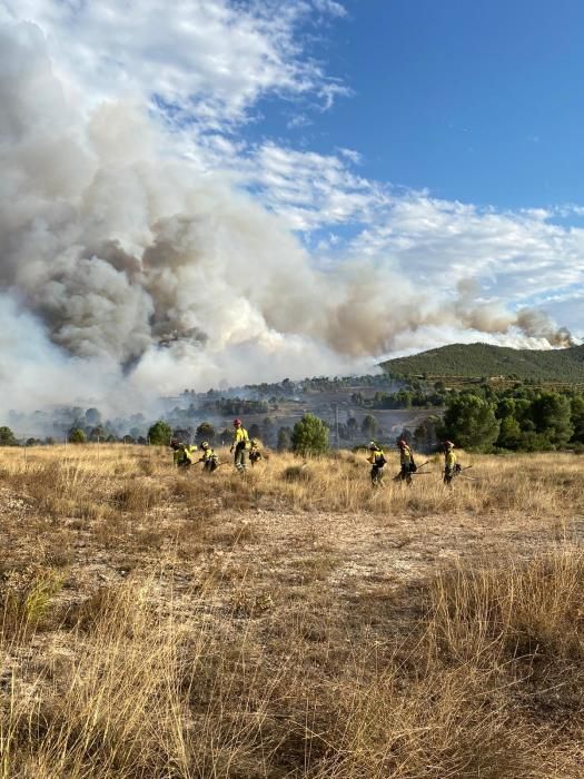 Un incendio en Mula alerta a los bomberos por su c