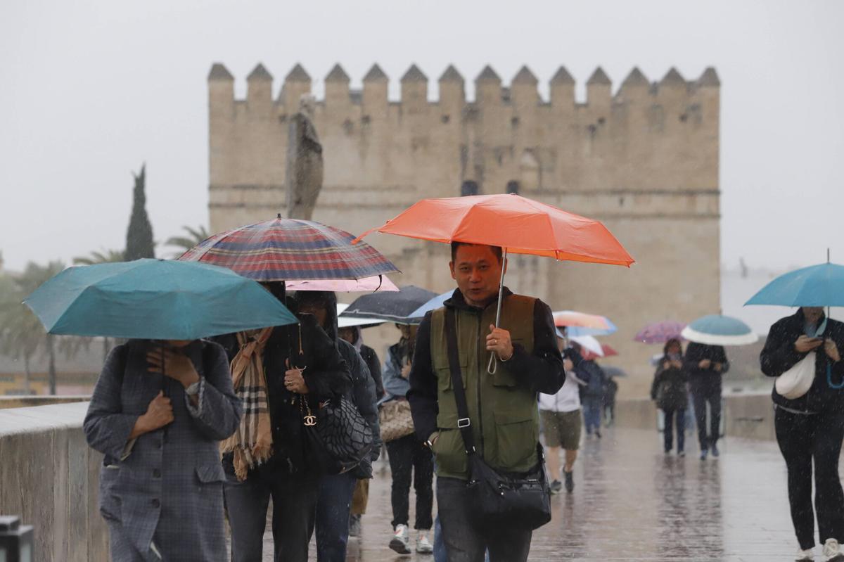 El temporal de lluvia y viento, en imágenes