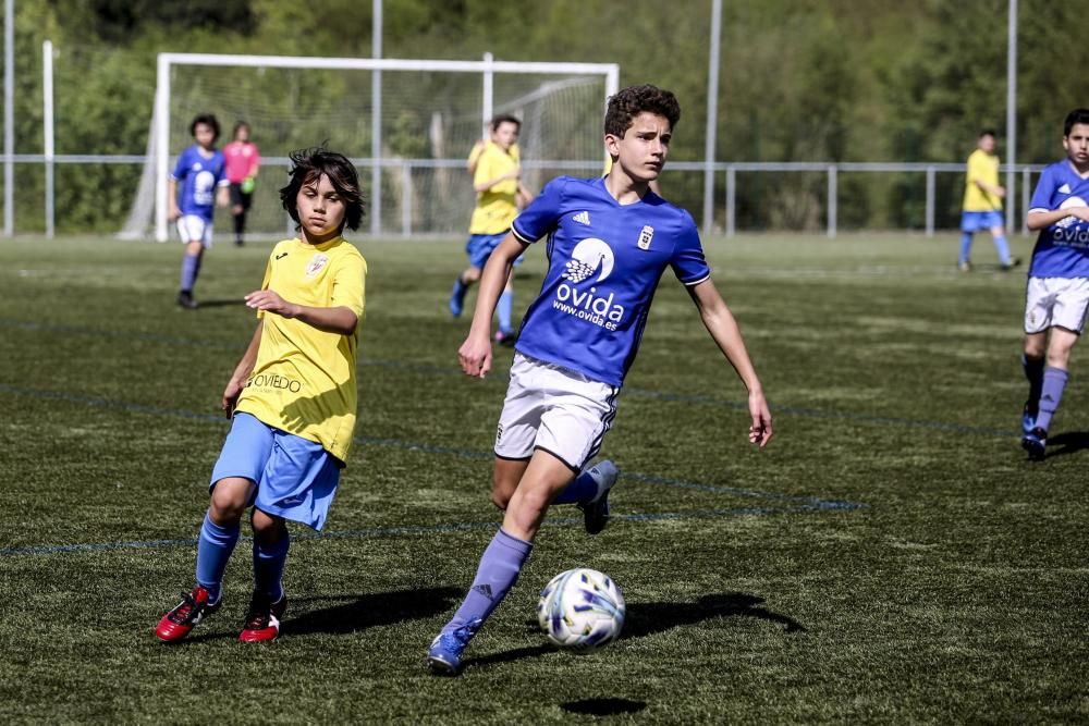 Oviedo Cup 2017: todas las imágenes