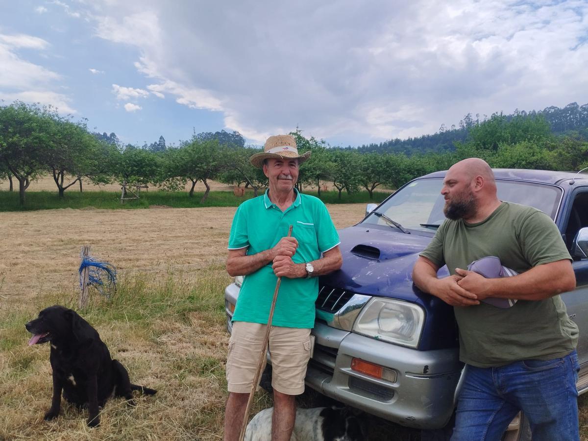 Los vecinos de Peñaflor, Anzo y Sestiello se reponen tras el incendio, en imágenes