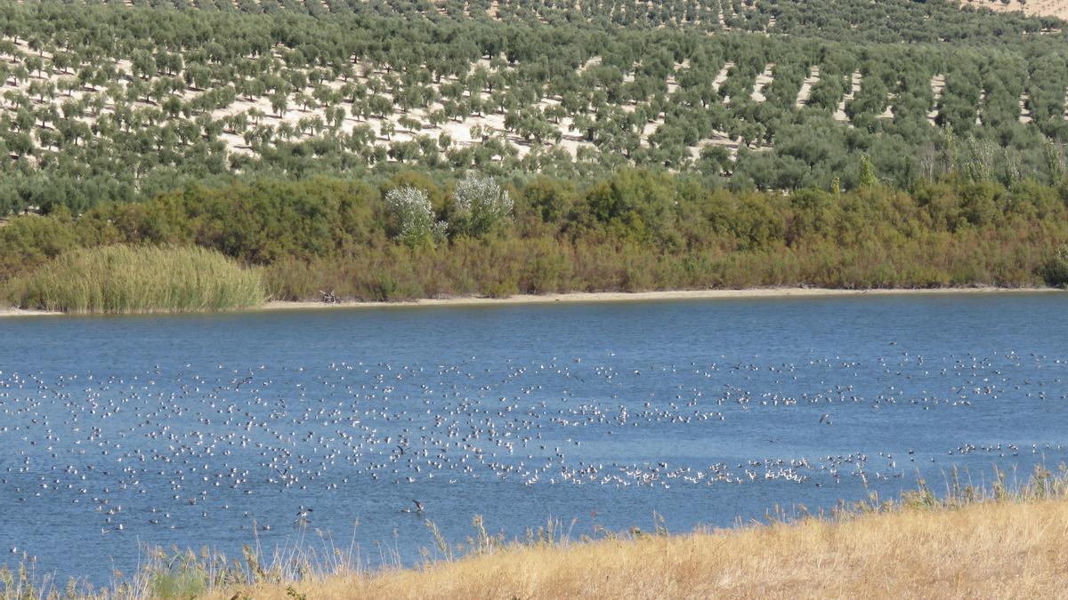 La laguna de Zóñar será uno de los escenarios de la ruta en bicicleta.