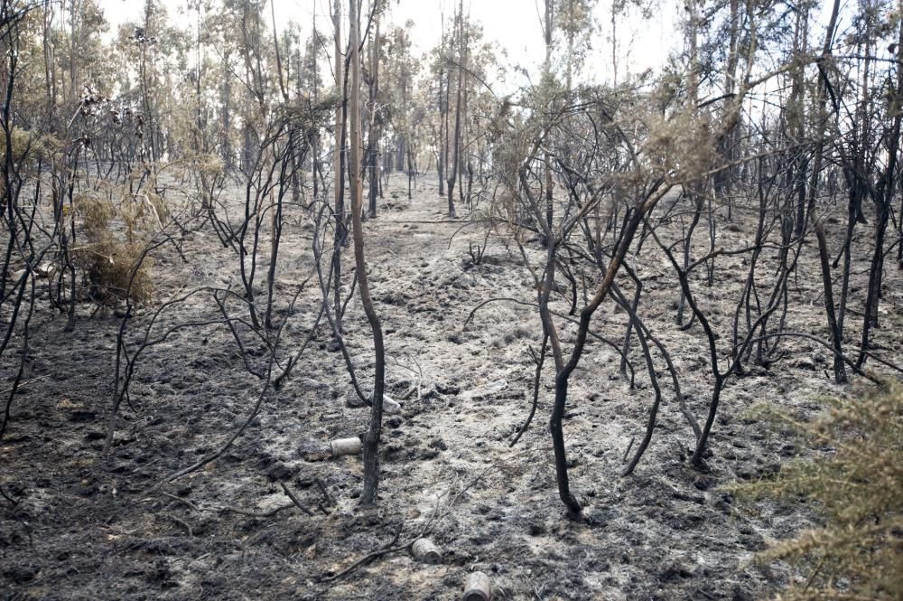 El operativo de extinción incluyó cuatro helicópteros y tres aviones y medios terrestres || Se tomó declaración a una testigo ante la sospecha de que el fuego fue provocado