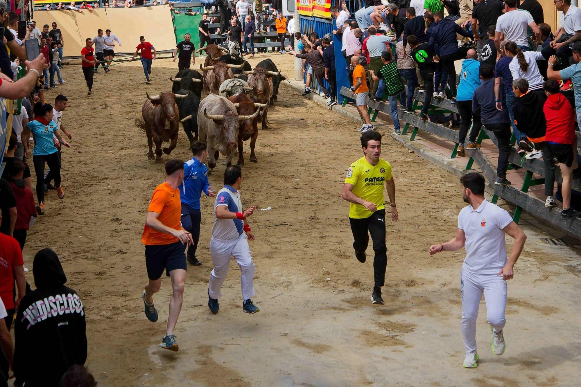 FOTOGALERÍA I Las imágenes de la segunda jornada de las fiestas de Sant Pasqual de Vila-real
