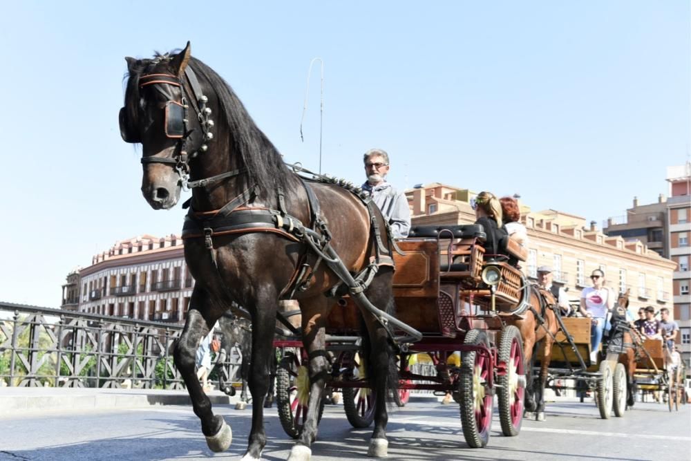 Ruta en carro al corazón de la Huerta