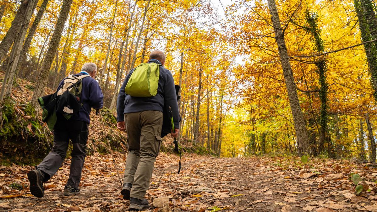Dos senderistas caminan por los bosques del Valle del Ambroz.