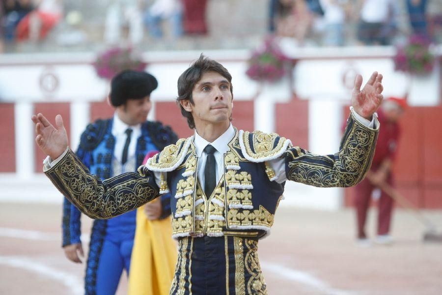 Toros en Zamora