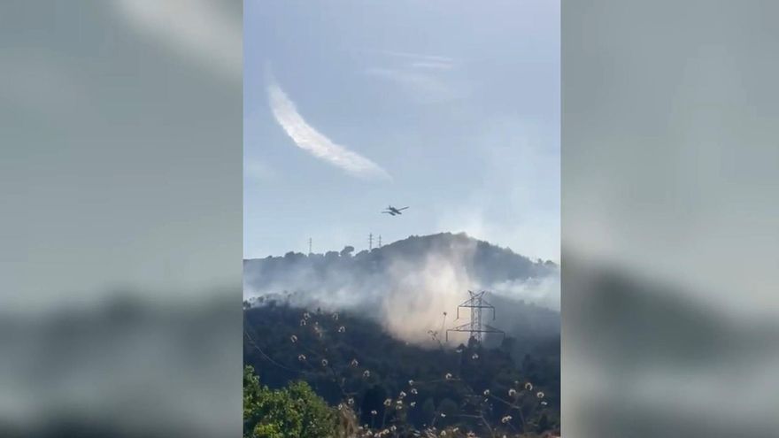 Incendio en una zona forestal de Viladecans