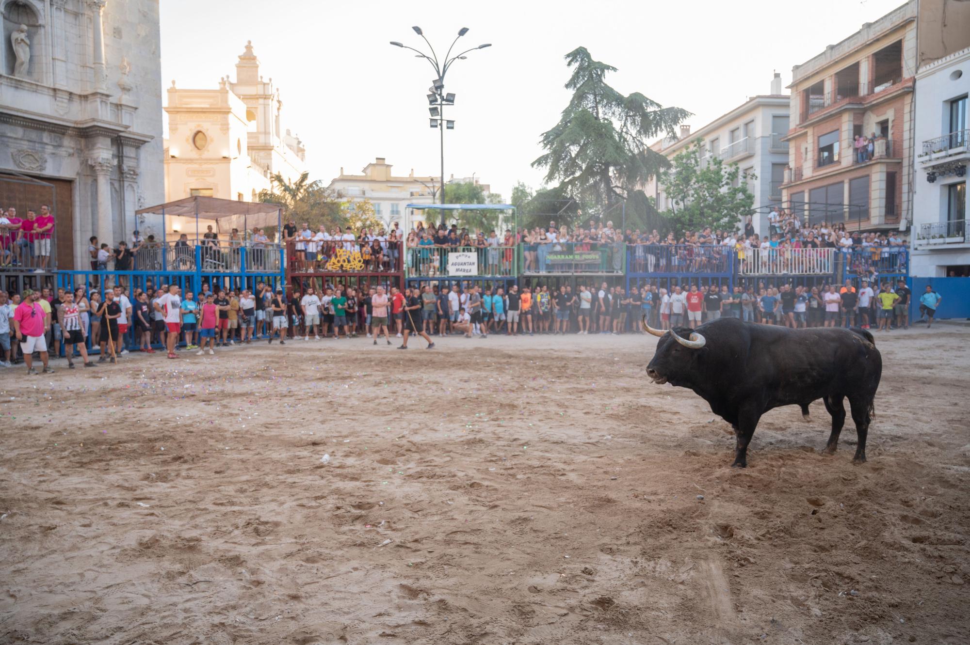 El primer día de fiestas en Burriana en imágenes