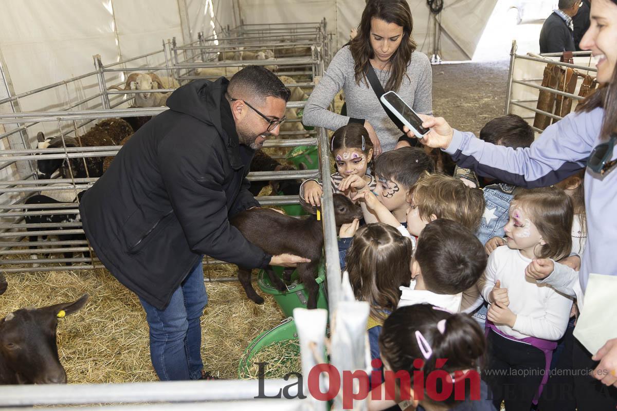 Así se ha vivido la IX Feria del Cordero Segureño celebraba en la pedanía caravaqueña de Archivel
