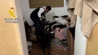 Cinco detenidos por estafas bancarias y blanqueo en Tenerife y Gran Canaria