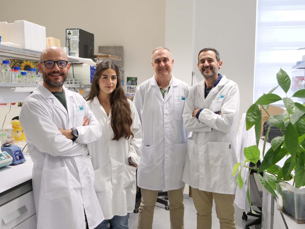 Los científicos de la UMA, autores de este trabajo, Víctor Carrión, Blanca Ruiz, Francisco Cazorla y José A. Gutiérrez posan en un laboratorio del IHSM