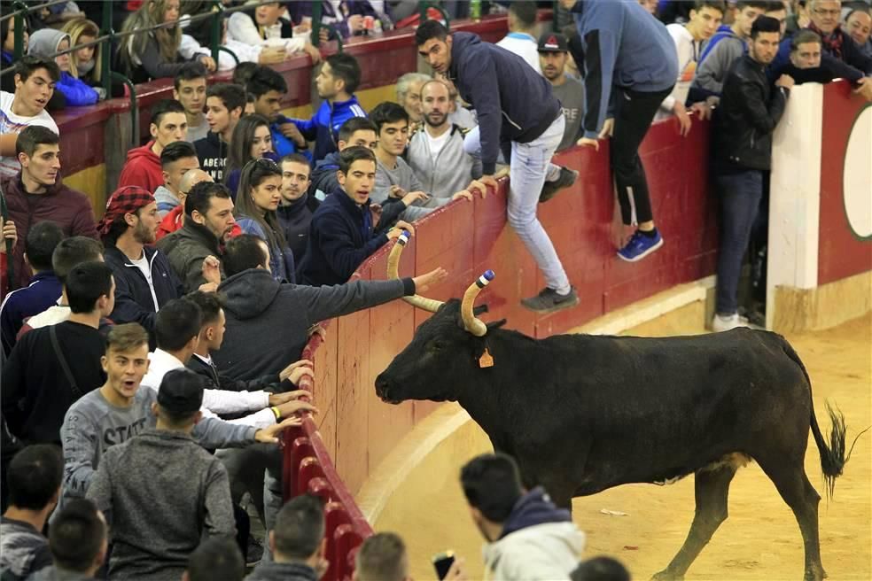 Mejores momentos de las Vaquillas