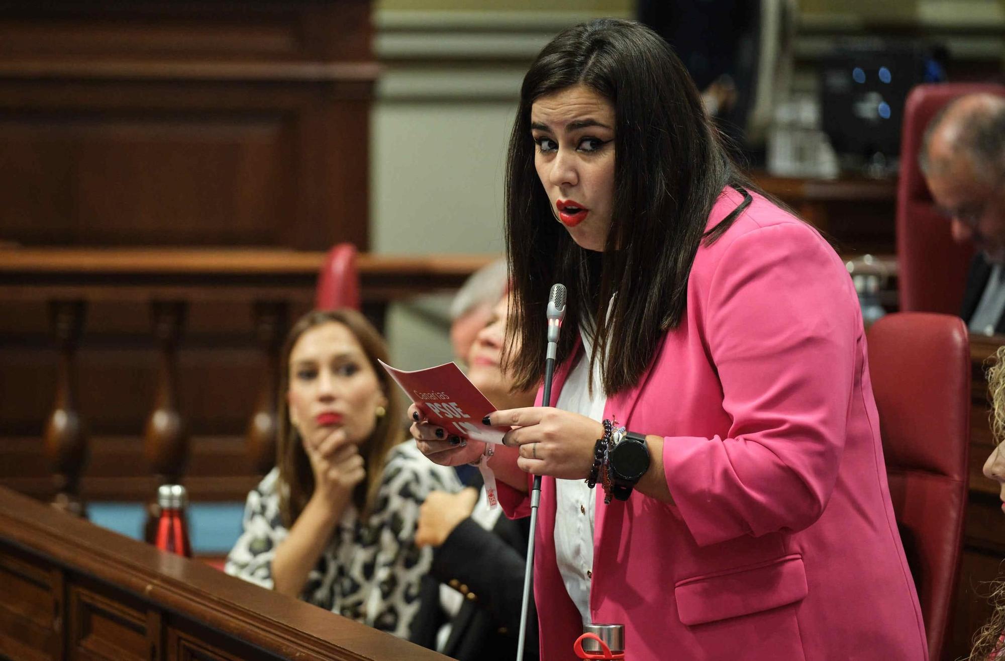 Pleno del Parlamento de Canarias (07/11/2023)