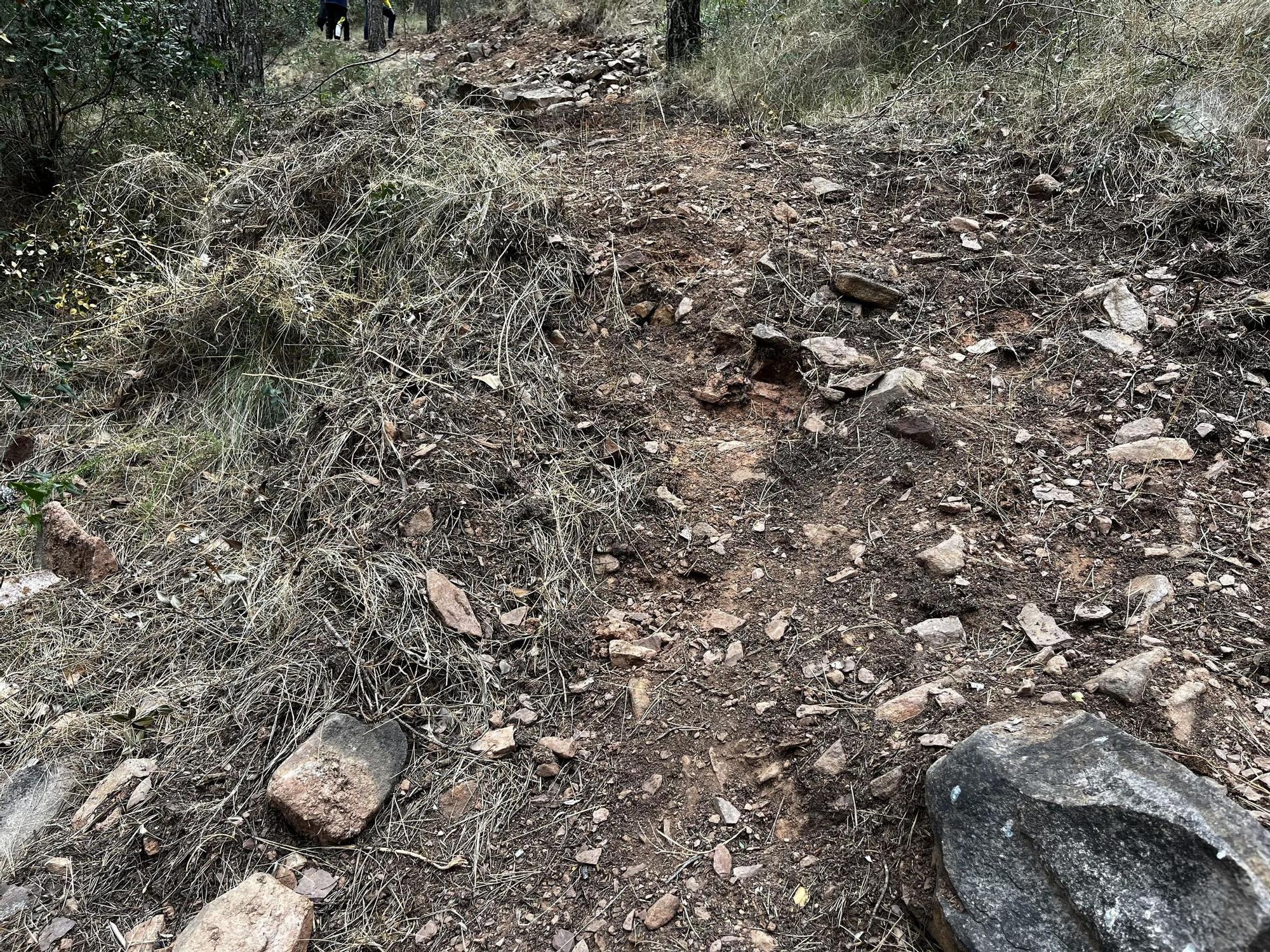 Las imágenes de la pista ilegal abierta en la Vilavella para practicar BTT