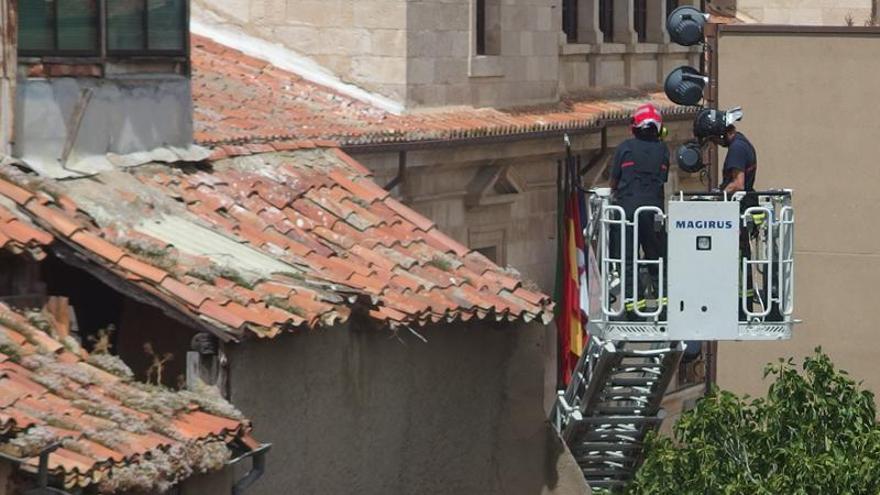 Los bomberos de Zamora rescatan una cría de cigüeña