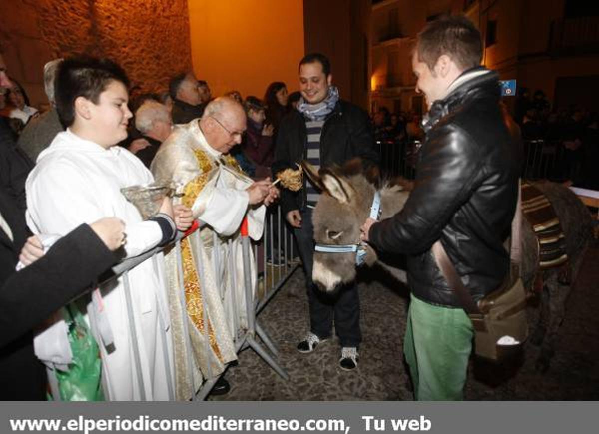 GALERÍA DE FOTOS - Matxa de Sant Antoni Alamassora