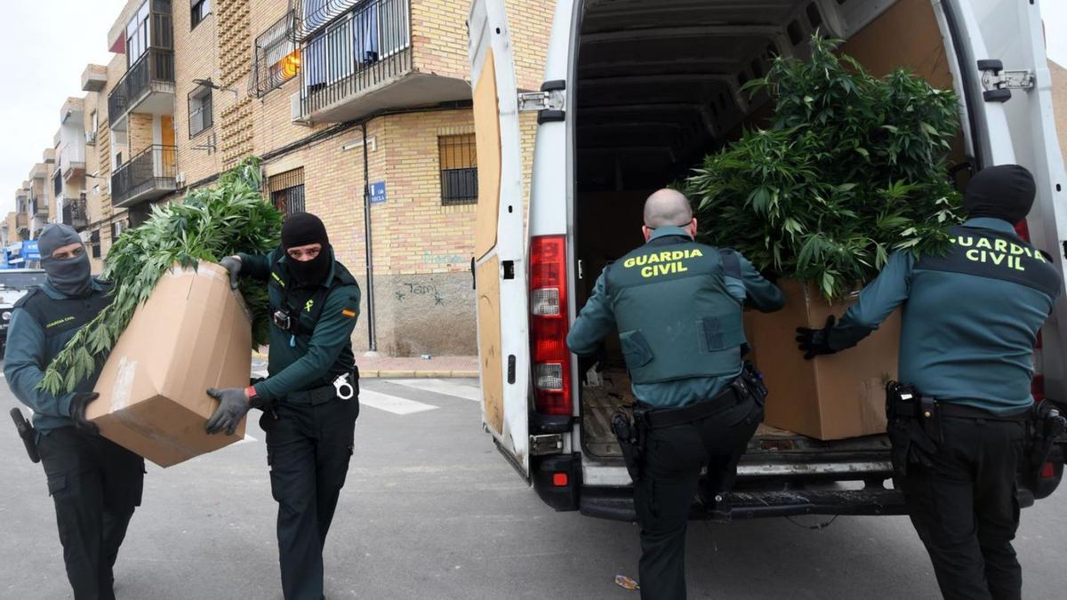 La Guardia Civil desmantela una plantación ilegal de marihuana en Las Torres.  | ISRAEL SÁNCHEZ