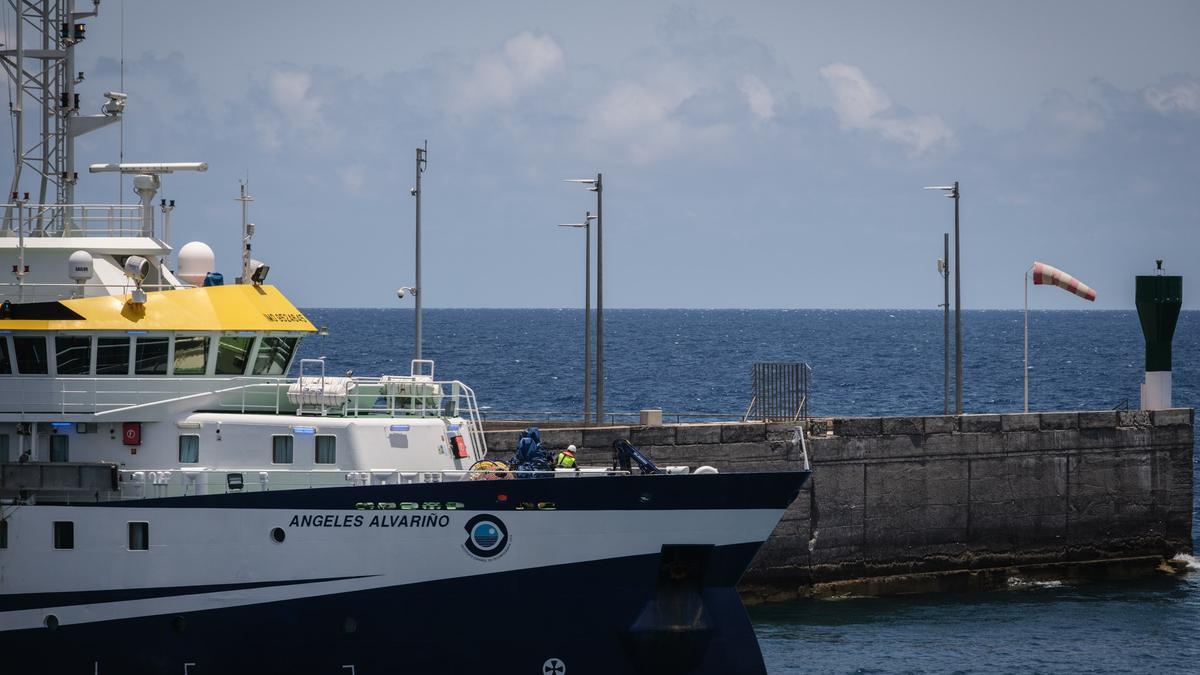 El 'Ángeles Alvariño' vuelve al puerto de Santa Cruz de Tenerife.