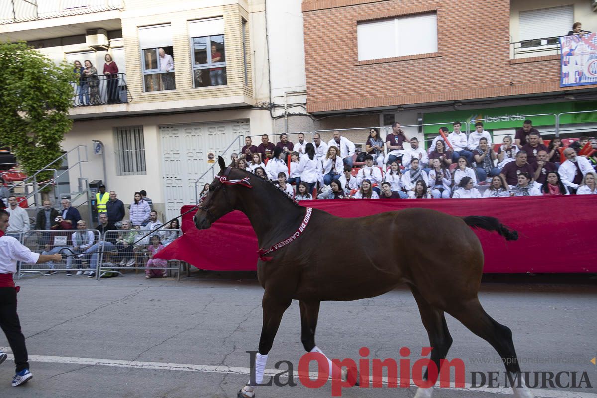 Fiestas de Caravaca | Desfile día 4 de mayo (Bando de los Caballos del Vino)