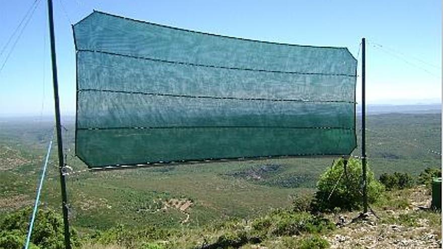 Colector diseñado por el CEAM situado en la Sierra de los Machos de Ayora.