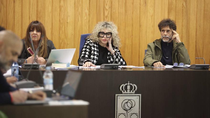 Un momento de un pleno en Cambre. |  Iago López