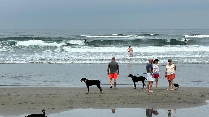 EN IMÁNGES: El Sablón de Bayas se convierte en un oasis estival para el turismo canino
