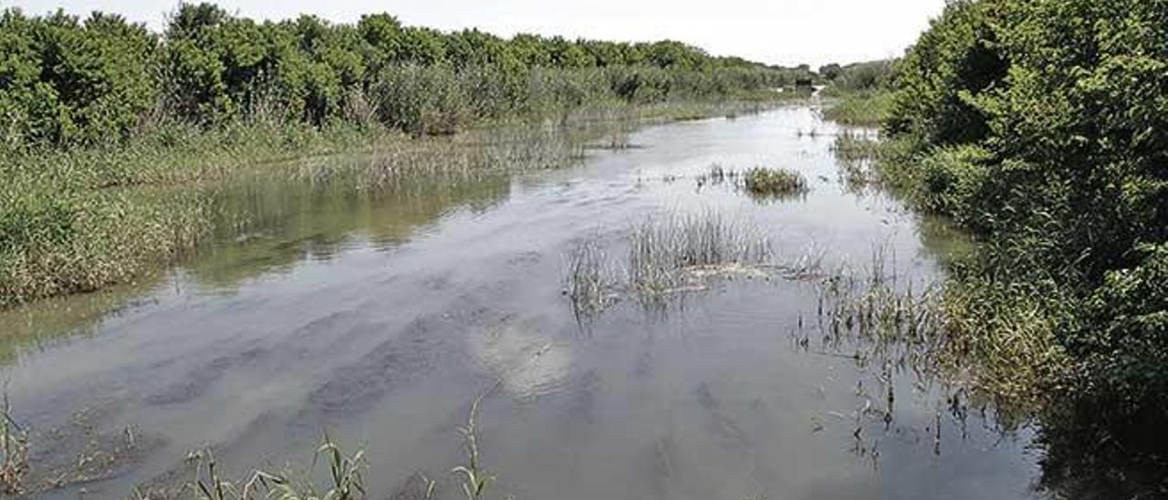 La Albufera, una gran y tradicional despensa para la cocina poblera.