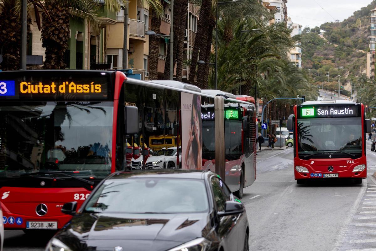 Autobuses urbanos en Alicante.